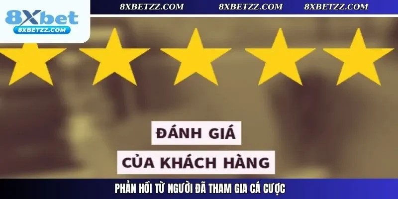 Phản hồi từ người đã tham gia cá cược